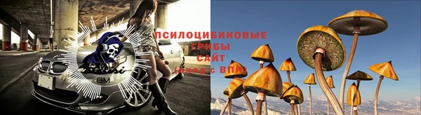 гашик Алзамай