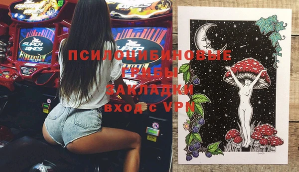 гашик Алзамай