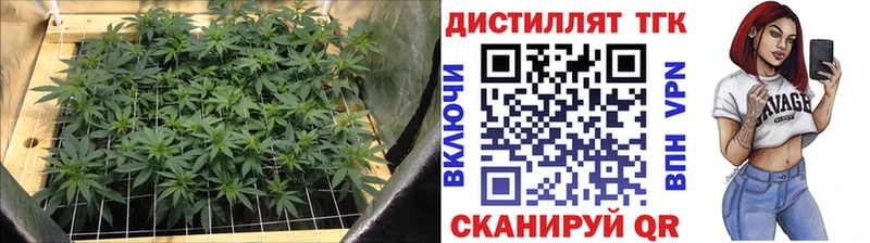 цены наркотик  нарко площадка Telegram  Дистиллят ТГК концентрат  Дмитриев 