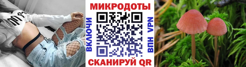 Галлюциногенные грибы прущие грибы  hydra ТОР  Дмитриев 